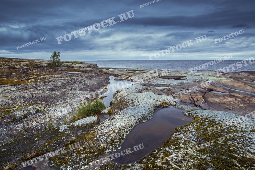 На фотографии изображен каменистый берег Ладожских шхер в Карелии. Сероватые оттенки скал и неба подчеркивают суровую красоту северной природы. Небольшие лужи на гранитных поверхностях отражают хмурое небо, добавляя пейзажу атмосферу уединения и спокойствия. Ладожские шхеры — уникальный природный объект, привлекающий любителей дикой природы и фотографов.